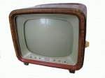 TV 310
